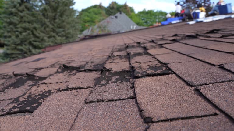 Best Gutter Installation and Repair  in Brentwood, CA